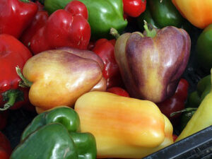 mixed-colored-bell-peppers