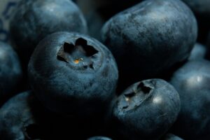 blueberries, bilberry, macro-5243712.jpg