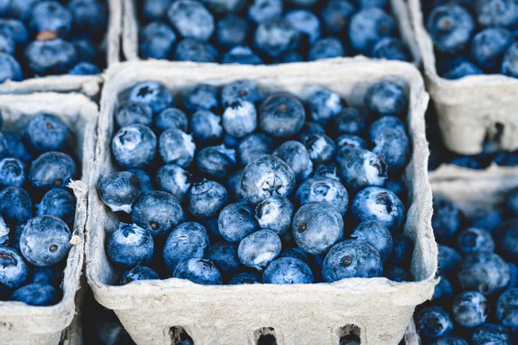 quart-size-baskets-of-blue-berries