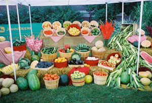 iowa-state-fair-MVGA-booth-with-vegetables