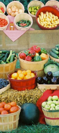 iowa-state-fair-MVGA-booth-filled-with-vegetables