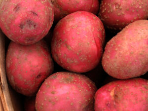 red-potatoes