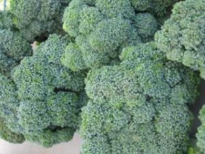 large-bunches-of-broccoli