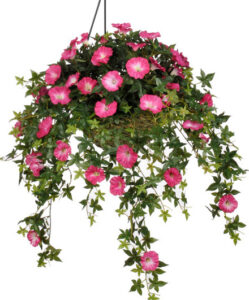 hanging-flower-basket